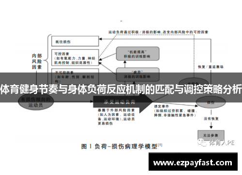 体育健身节奏与身体负荷反应机制的匹配与调控策略分析